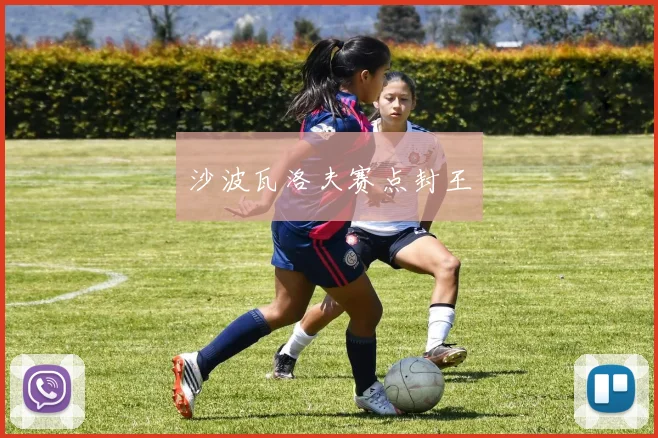 沙波瓦洛夫赛点封王