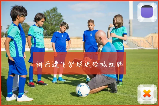 梅西遭飞铲球迷怒喊红牌