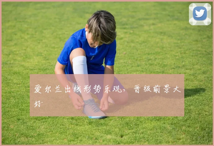 爱尔兰出线形势乐观，晋级前景大好