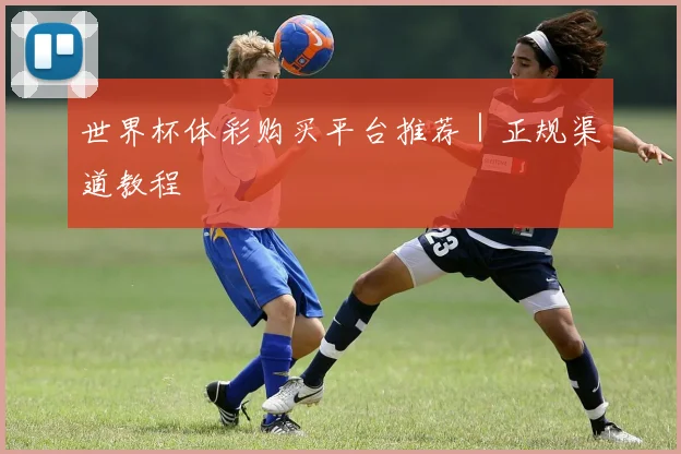 世界杯体彩购买平台推荐｜正规渠道教程