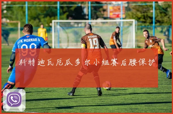 科特迪瓦厄瓜多尔小组赛后腰保护