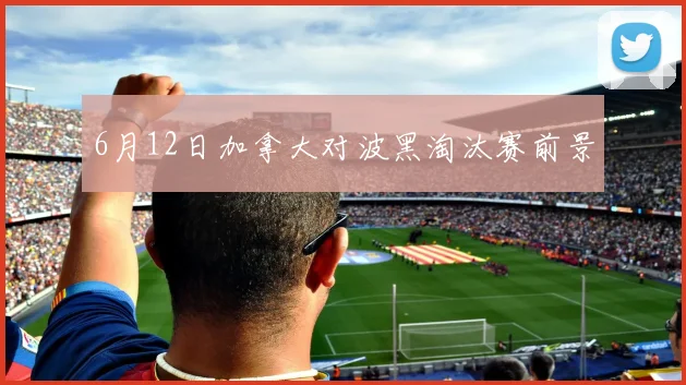 6月12日加拿大对波黑淘汰赛前景