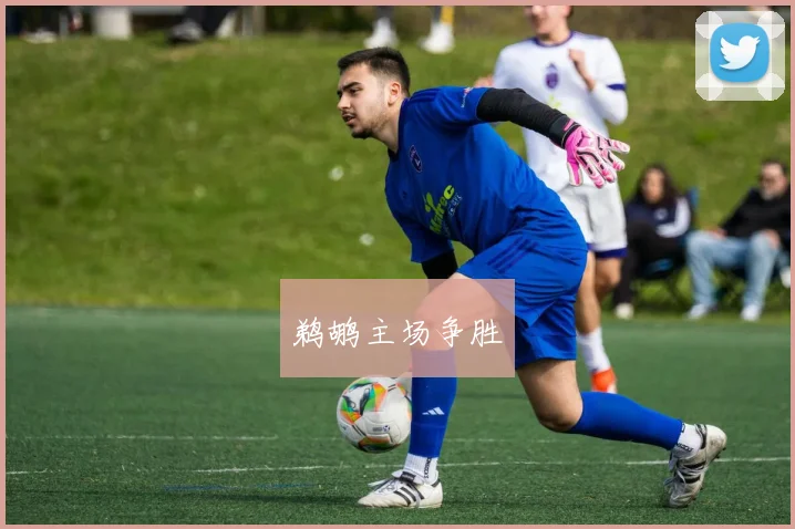 鹈鹕主场争胜