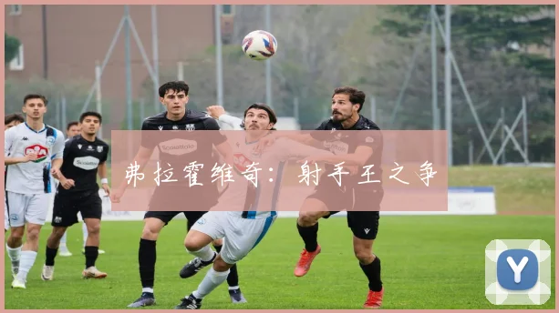 弗拉霍维奇：射手王之争