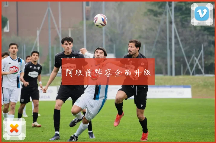 阿联酋阵容全面升级