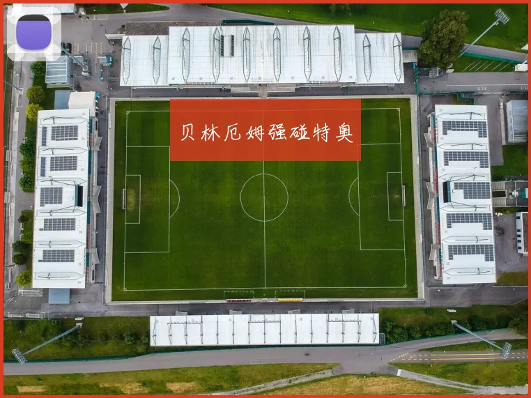 贝林厄姆强碰特奥