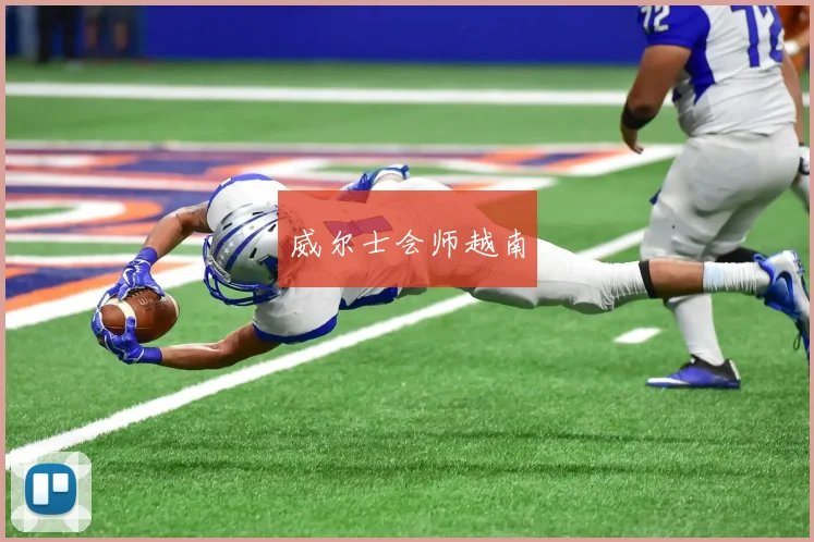威尔士会师越南