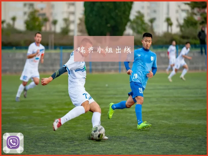 瑞典小组出线