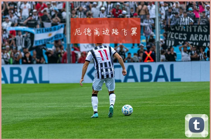 厄德高边路飞翼