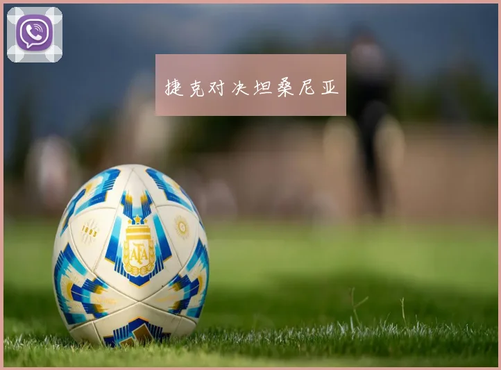 捷克对决坦桑尼亚