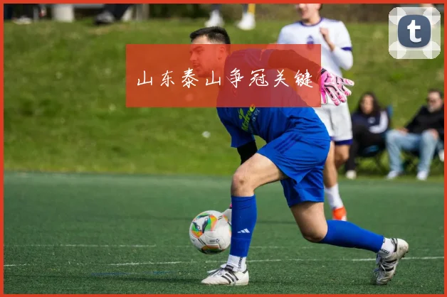 山东泰山争冠关键