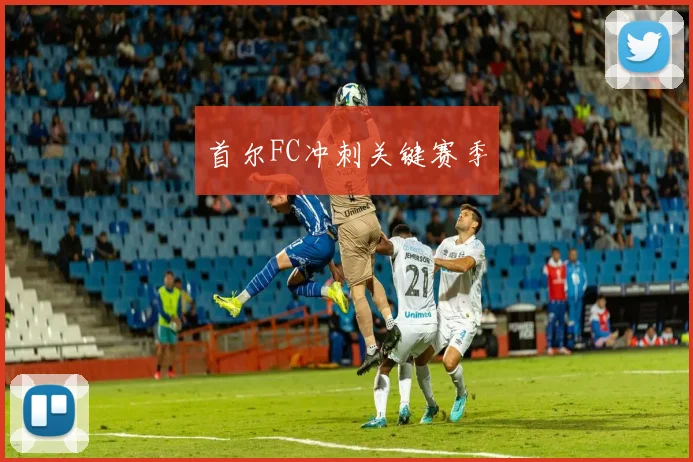 首尔FC冲刺关键赛季