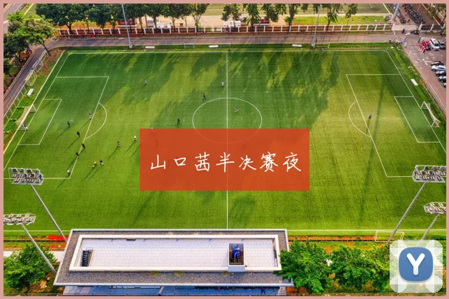 山口茜半决赛夜