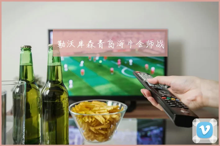 勒沃库森青岛海牛会师战