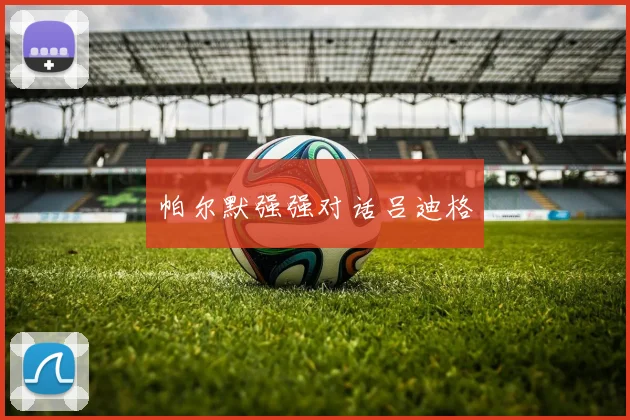 帕尔默强强对话吕迪格