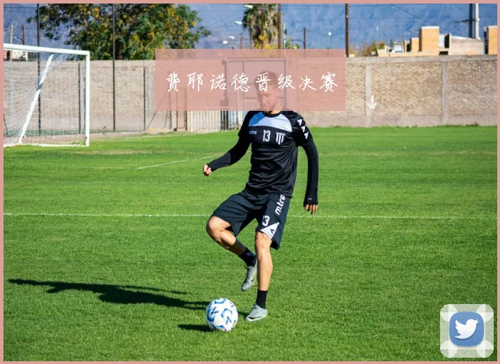 费耶诺德晋级决赛