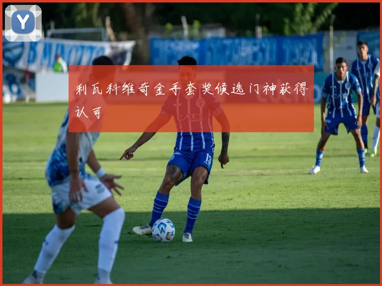 利瓦科维奇金手套奖候选门神获得认可