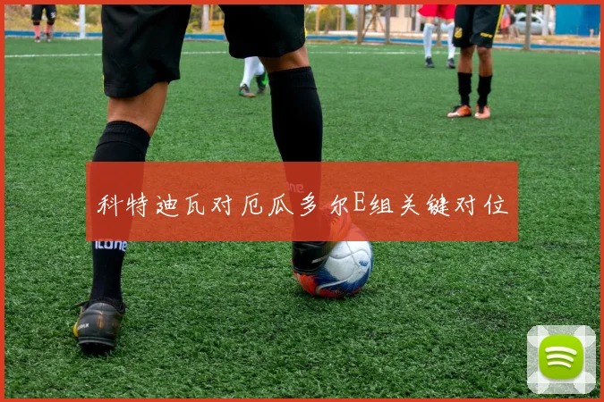 科特迪瓦对厄瓜多尔E组关键对位