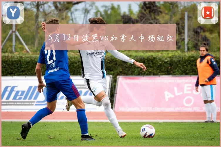 6月12日波黑vs加拿大中场组织