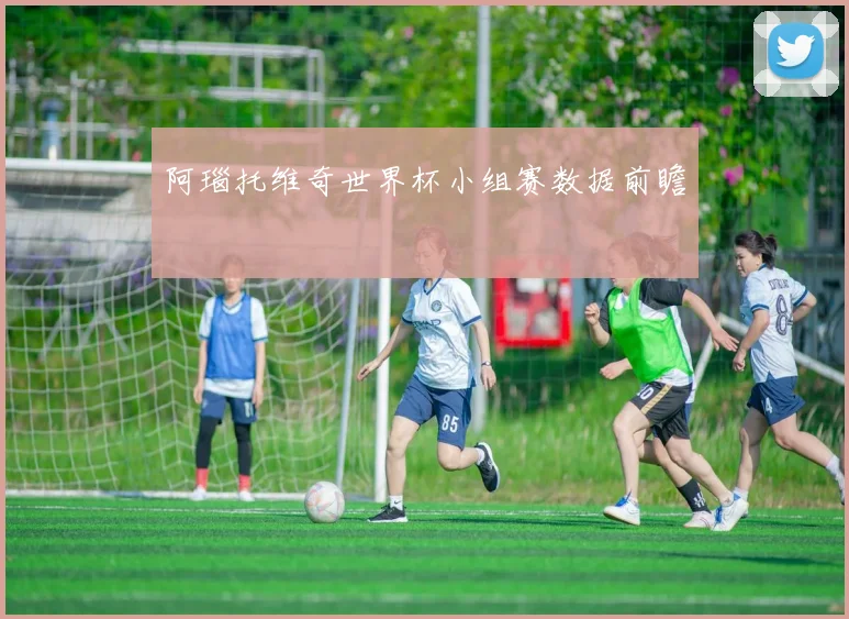 阿瑙托维奇世界杯小组赛数据前瞻