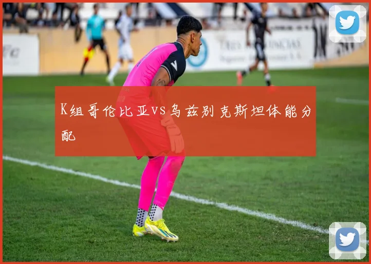 K组哥伦比亚vs乌兹别克斯坦体能分配