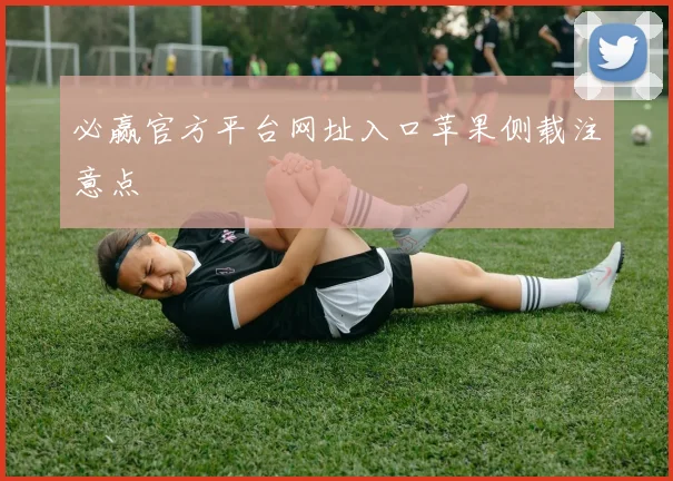 必赢官方平台网址入口苹果侧载注意点